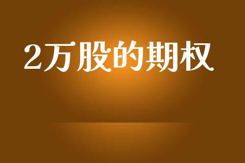 2万股的期权_https://wap.letulww.com_投资策略_第1张