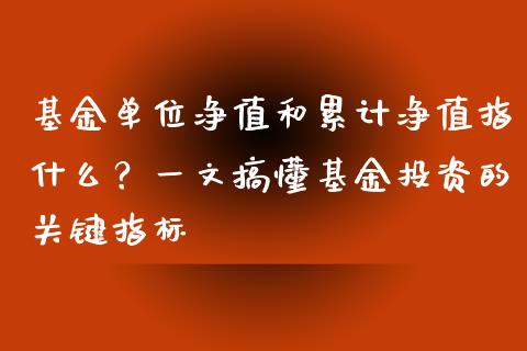 基金单位净值和累计净值指什么？一文搞懂基金投资的关键指标_https://wap.letulww.com_融资租赁_第1张