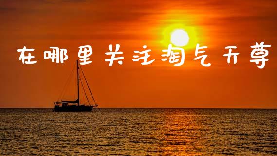 在哪里关注淘气天尊_https://wap.letulww.com_外汇交易_第1张