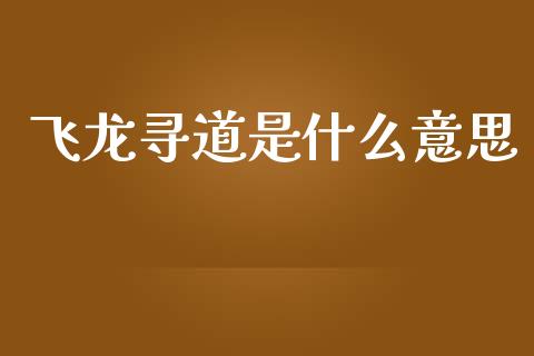 飞龙寻道是什么意思_https://wap.letulww.com_投资管理_第1张