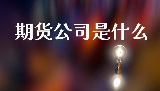 期货公司是什么_https://wap.letulww.com_投资策略_第1张