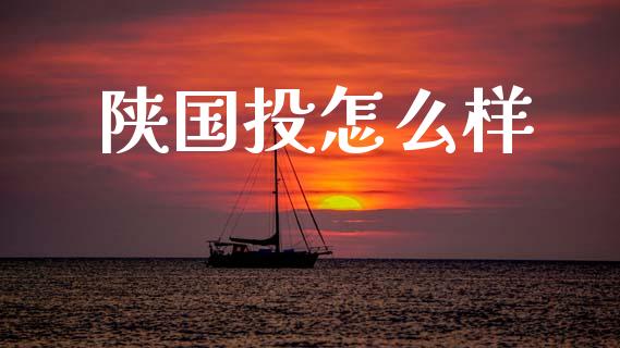陕国投怎么样_https://wap.letulww.com_投资策略_第1张