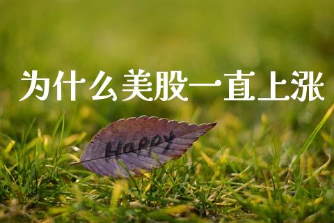 为什么美股一直上涨_https://wap.letulww.com_投资策略_第1张