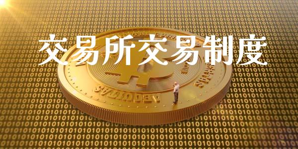 交易所交易制度_https://wap.letulww.com_投资策略_第1张