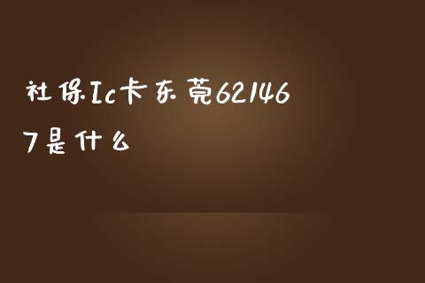社保Ic卡东莞621467是什么_https://wap.letulww.com_融资租赁_第1张