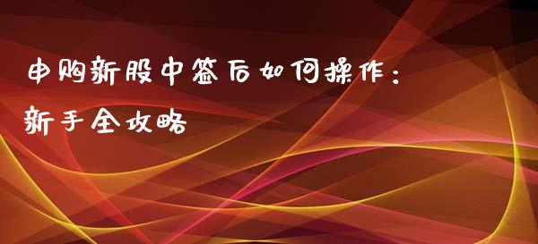 申购新股中签后如何操作：新手全攻略_https://wap.letulww.com_融资租赁_第1张