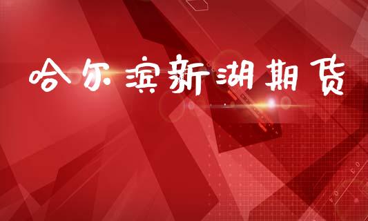 哈尔滨新湖期货_https://wap.letulww.com_融资租赁_第1张