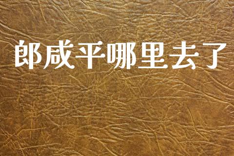 郎咸平哪里去了_https://wap.letulww.com_投资管理_第1张