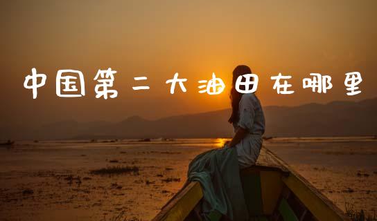 中国第二大油田在哪里_https://wap.letulww.com_投资策略_第1张
