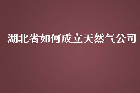湖北省如何成立天然气公司_https://wap.letulww.com_投资策略_第1张