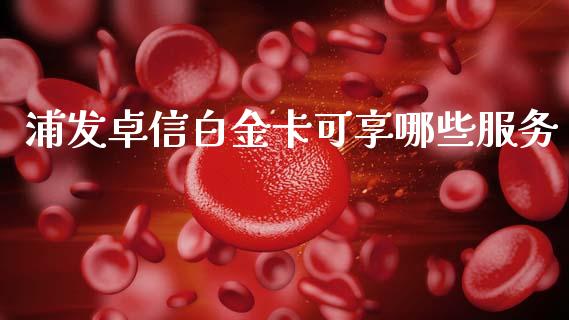 浦发卓信白金卡可享哪些服务_https://wap.letulww.com_外汇交易_第1张