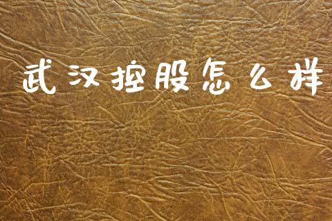 武汉控股怎么样_https://wap.letulww.com_投资策略_第1张