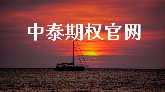 中泰期权官网_https://wap.letulww.com_投资管理_第1张