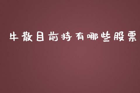 牛散目前持有哪些股票_https://wap.letulww.com_投资管理_第1张