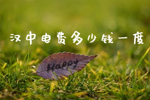 汉中电费多少钱一度_https://wap.letulww.com_投资管理_第1张