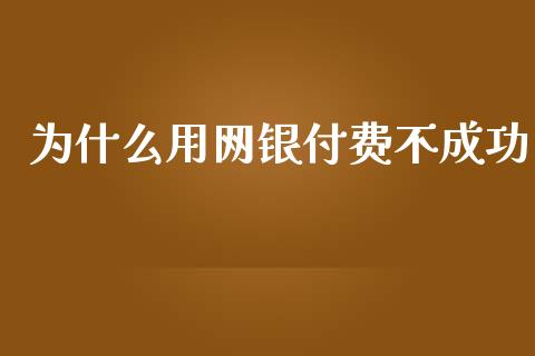 为什么用网银付费不成功_https://wap.letulww.com_外汇交易_第1张