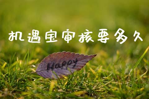 机遇宝审核要多久_https://wap.letulww.com_融资租赁_第1张