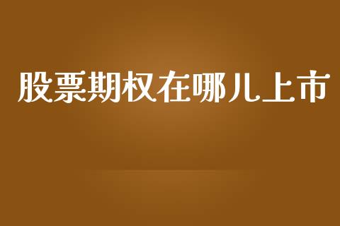 股票期权在哪儿上市_https://wap.letulww.com_投资管理_第1张