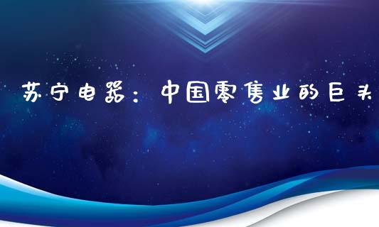 苏宁电器：中国零售业的巨头_https://wap.letulww.com_投资管理_第1张