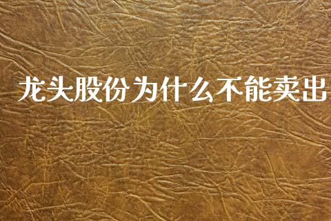 龙头股份为什么不能卖出_https://wap.letulww.com_融资租赁_第1张