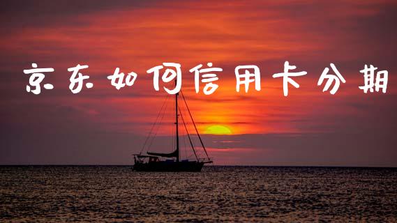 京东如何信用卡分期_https://wap.letulww.com_融资租赁_第1张