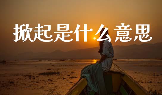 掀起是什么意思_https://wap.letulww.com_投资管理_第1张