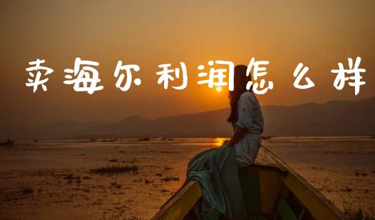 卖海尔利润怎么样_https://wap.letulww.com_投资策略_第1张