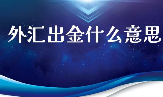 外汇出金什么意思_https://wap.letulww.com_投资管理_第1张