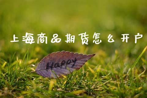 上海商品期货怎么开户_投资管理_第1张_外汇交易_投资策略_融资租赁_投资管理 上海商品期货怎么开户_https://wap.letulww.com_投资管理_第1张