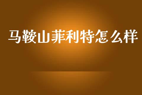 马鞍山菲利特怎么样_https://wap.letulww.com_投资管理_第1张