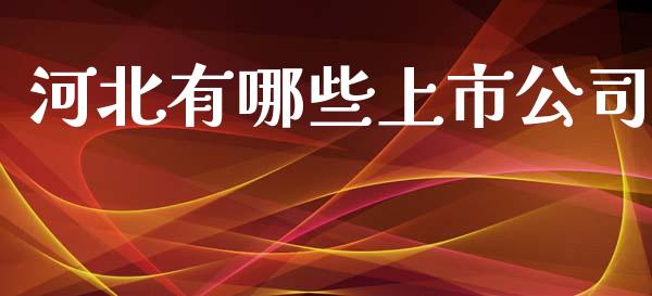 河北有哪些上市公司_https://wap.letulww.com_投资策略_第1张