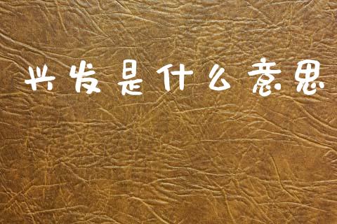 兴发是什么意思_https://wap.letulww.com_投资策略_第1张