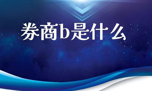 券商b是什么_https://wap.letulww.com_外汇交易_第1张