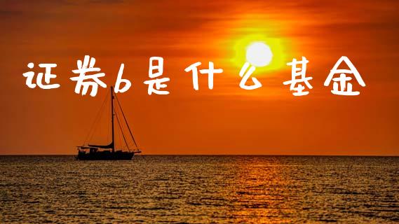 证券b是什么基金_https://wap.letulww.com_融资租赁_第1张