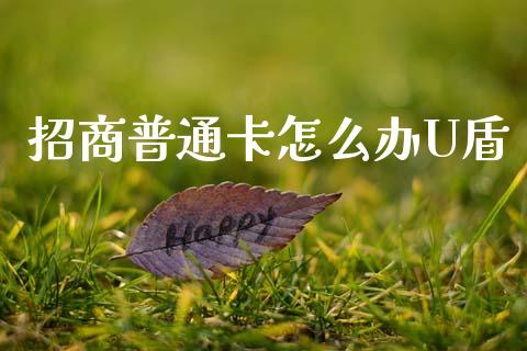 招商普通卡怎么办U盾_https://wap.letulww.com_外汇交易_第1张