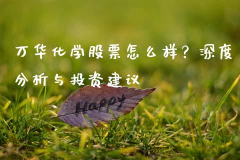 万华化学股票怎么样？深度分析与投资建议_https://wap.letulww.com_外汇交易_第1张