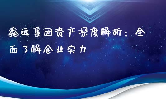 鑫远集团资产深度解析：全面了解企业实力_https://wap.letulww.com_投资策略_第1张