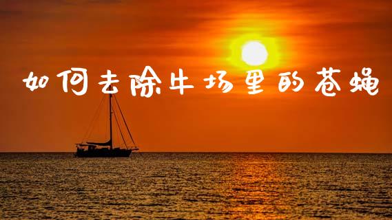 如何去除牛场里的苍蝇_https://wap.letulww.com_外汇交易_第1张