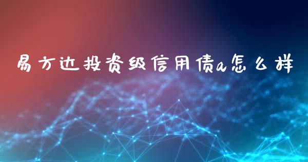易方达投资级信用债a怎么样_https://wap.letulww.com_融资租赁_第1张