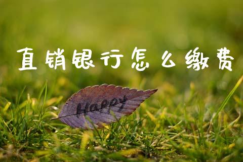 直销银行怎么缴费_https://wap.letulww.com_投资策略_第1张