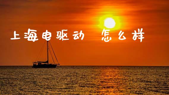 上海电驱动  怎么样_https://wap.letulww.com_外汇交易_第1张