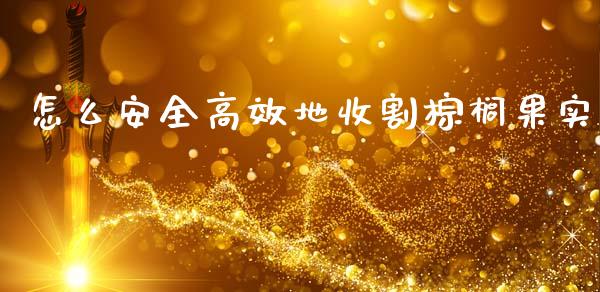 怎么安全高效地收割棕榈果实_https://wap.letulww.com_外汇交易_第1张