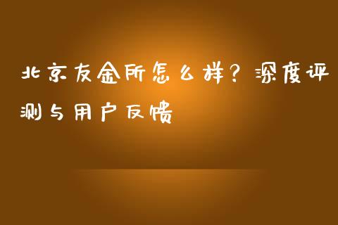 北京友金所怎么样？深度评测与用户反馈_https://wap.letulww.com_投资策略_第1张