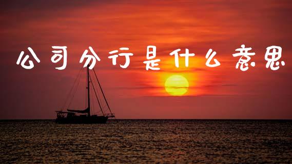 公司分行是什么意思_https://wap.letulww.com_投资策略_第1张