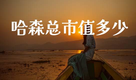 哈森总市值多少_https://wap.letulww.com_投资管理_第1张