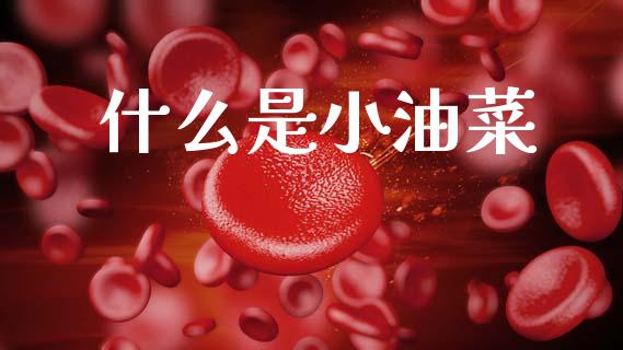 什么是小油菜_https://wap.letulww.com_投资管理_第1张