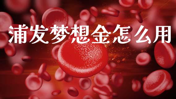 浦发梦想金怎么用_https://wap.letulww.com_投资管理_第1张