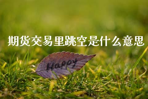 期货交易里跳空是什么意思_https://wap.letulww.com_融资租赁_第1张