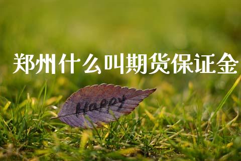 郑州什么叫期货保证金_https://wap.letulww.com_投资策略_第1张