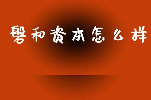 磐和资本怎么样_https://wap.letulww.com_外汇交易_第1张